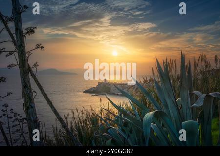 Piombino, Blick auf die Piazza Bovio und den Leuchtturm bei Sonnenuntergang, Insel Elba im Hintergrund und einige typische Vegetation im Vordergrund. Maremma, Profi Stockfoto