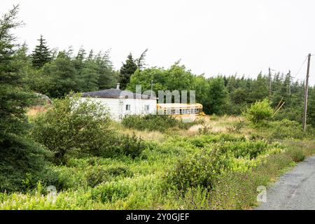 Alter gelber Schulbus versteckt in den Büschen von Conception Harbour, Neufundland & Labrador, Kanada Stockfoto