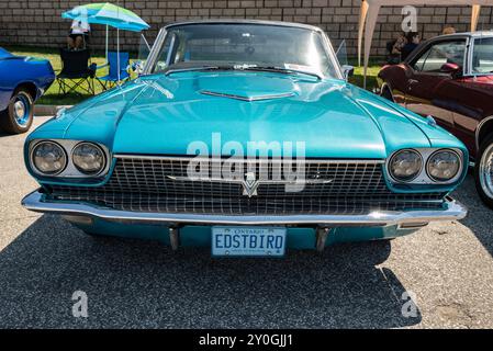 Der Klassiker Thunderbird, der 1955 von Ford eingeführt wurde, wird für sein schlankes, stilvolles Design und seinen Status als früherer amerikanischer persönlicher Luxus gefeiert Stockfoto