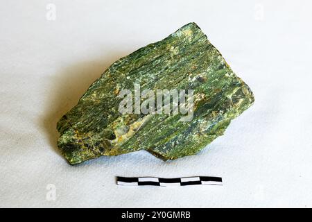 Eine Probe von Fuchsite, mit dünnen Streifen von Chert, auf weißem Hintergrund mit einer Skala von 5 cm. Stockfoto