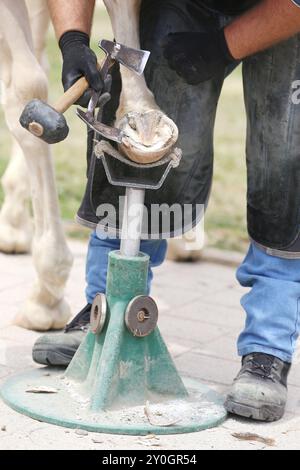 Unbekannter Farmer arbeitet auf dem Hu eines Rennpferdes. Gesunde Hufbehandlung mit einem Messer. Traditionelle Tierpflege. Unbekannter Schmied, der in einem Stall arbeitet Stockfoto