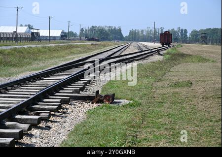 Auschwitz II-Birkenau bei Krakau in Polen. Stockfoto