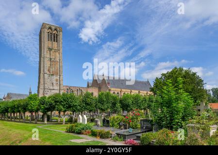 Kirche der Himmelfahrt / Onze Lieve Vrouw-Hemelvaartkerk in der Stadt Damme, Westflandern, Belgien Stockfoto