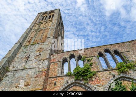 Kirche der Himmelfahrt / Onze Lieve Vrouw-Hemelvaartkerk in der Stadt Damme, Westflandern, Belgien Stockfoto