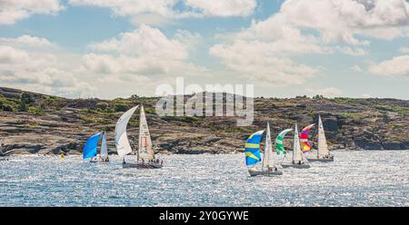 TJ?rn, Schweden - 17. August 2013: TJ?rn Runt ist ein jährlich stattfindender Langstreckensegelwettbewerb, der rund um die Insel Tj?rn stattfindet. Ansicht von R?nn? Stockfoto