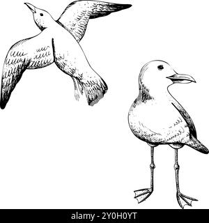 Möwen, einer fliegt die andere stehend. Grafische Strichgrafik, handgezeichnet in Schwarzweiß-Monochrom. Marineblaues Set mit Elementen, ClipArt Stock Vektor