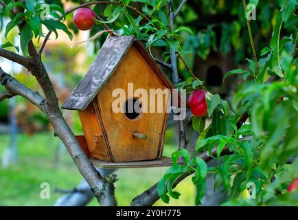Ein hölzernes Vogelhaus befindet sich auf den Ästen eines Baumes. Stockfoto