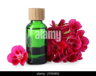 Ätherisches Geranienöl in der Flasche und schöne Blumen isoliert auf weiß Stockfoto