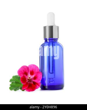 Ätherisches Geranienöl in der Flasche und schöne Blume isoliert auf weiß Stockfoto