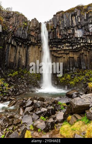 Svartifoss (schwarzer Wasserfall), Wasserfall in Skaftafell im Vatnajokull-Nationalpark in Island mit hohen Basaltsäulenklippen, Blick auf den Frühling. Stockfoto