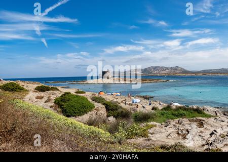 Stintino, Italien. August 2024. Die Insel Isola Piana mit dem alten Wehrturm an den Stränden La Pelosa und La Pelosetta wird am 5. August 2024 in Stintino, Sardinien, Italien, gezeigt. (Foto: Emmanuele Contini/NurPhoto) Credit: NurPhoto SRL/Alamy Live News Stockfoto