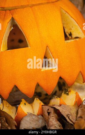 Nahaufnahme eines Halloween-Kürbis Stockfoto