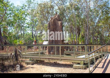 Magnetic Termite Mounds (Nasutitermes triodiae), Litchfield National Park, Litchfield Park, Northern Territory, Australien Stockfoto