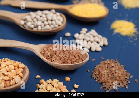 Verschiedene Getreidearten und Hülsenfrüchte in Löffeln auf blauem Holztisch, Nahaufnahme Stockfoto