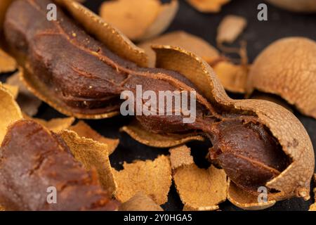 Offene reife Tamarindenschalen mit essbarem Fruchtfleisch, verzehrfertige ganze Tamarindenfrüchte liegen auf dem Tisch Stockfoto