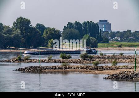 Leichtes Niedrigwasser des Rhein, Schiffsverkehr auf dem Rhein bei Düsseldorf, südlich der Rheinkniebrücke, NRW, Deutschland Schiffsverkehr *** leicht Niedrigwasser des Rheins, Schiffsverkehr auf dem Rhein bei Düsseldorf, südlich der Rheinkniebrücke Brücke, NRW, Deutschland Schiffsverkehr Stockfoto