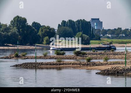 Leichtes Niedrigwasser des Rhein, Schiffsverkehr auf dem Rhein bei Düsseldorf, südlich der Rheinkniebrücke, NRW, Deutschland Schiffsverkehr *** leicht Niedrigwasser des Rheins, Schiffsverkehr auf dem Rhein bei Düsseldorf, südlich der Rheinkniebrücke Brücke, NRW, Deutschland Schiffsverkehr Stockfoto