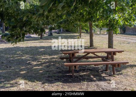 Ein hölzerner Picknicktisch mit anliegenden Bänken steht einladend unter dem Schatten der Bäume in einem Park und bietet einen ruhigen Ort für eine Pause Stockfoto