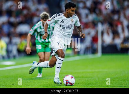 Madrid, Deutschland. September 2024. Fussball La Liga 4. Spieltag Real Madrid - Real Betis Sevilla am 01.09.2024 im Estadio Santiago Bernabeu in Madrid Rodrygo ( Madrid ) Foto: Revierfoto Credit: ddp Media GmbH/Alamy Live News Stockfoto