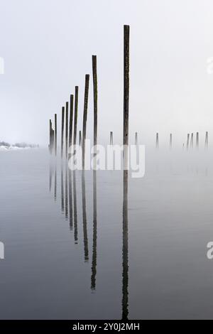 Ein Spiegelbild wie ein Foto von Holzpfählen, die an einem nebeligen Wintermorgen auf dem ruhigen Pend Oreille River in Washington vom Wasser reflektiert werden Stockfoto