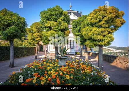 Üppiger Garten mit blühenden Blumen und Bäumen vor dem Rokoko-Schloss der Dornburg, Dornburg-Camburg, Thüringen, Deutschland, Europa Stockfoto