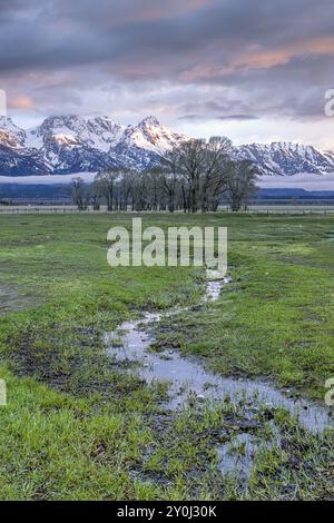 Auf der Prärie mit Blick auf die Gebirgszüge der Grand Tetons im Nordwesten Wyoming Stockfoto