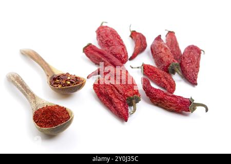 Rotes Pfefferpulver und Flocken auf Holzlöffeln neben ganzen roten Paprika auf weißem Hintergrund Stockfoto