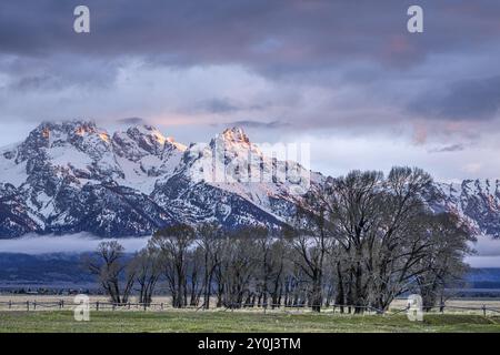 Auf der Prärie mit Blick auf die Gebirgszüge der Grand Tetons im Nordwesten Wyoming Stockfoto