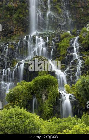 Ein Nahfoto von üppigen Wasserfällen in Thousand Springs in der Nähe von Hagerman, Idaho Stockfoto