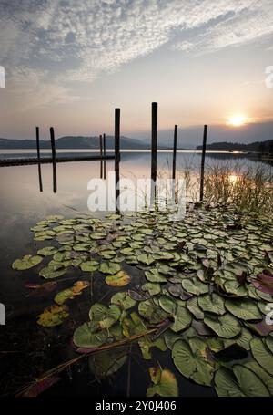 Der farbenfrohe Sonnenaufgang scheint über dem ruhigen See und den Lilienplättchen am Chatcolet Lake in der Nähe von Plummer, Idaho Stockfoto