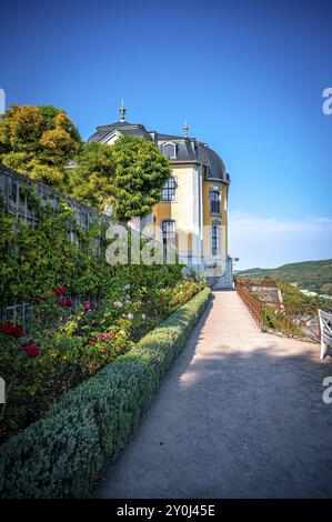 Das Rokoko-Schloss der Dornburg Burgen bei sonnigem Wetter mit gepflegten Gärten, Dornburg-Camburg, Thüringen, Deutschland, Europa Stockfoto