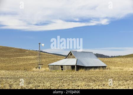 Eine alte Scheune mit einer Windmühle daneben steht auf einem Feld in Nord-Idaho Stockfoto