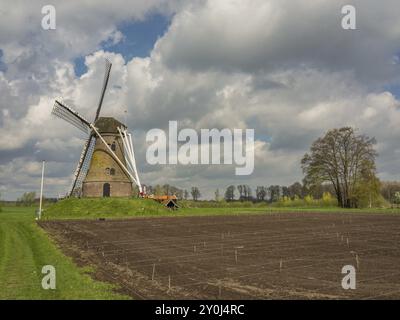 Windmühle auf einem Hügel neben einem frisch gepflügten Feld und einer grünen Wiese unter blauem Himmel, Eibergen, Gelderland, Niederlande Stockfoto
