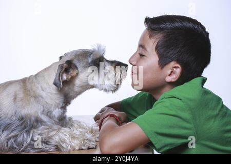 Ein Junge und ein Miniatur-Schnauzer teilen sich auf diesem Studiofoto eine gemeinsame Zeit Stockfoto