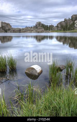 Ein kleiner Baumstamm befindet sich im Vordergrund des berühmten Sylvan Lake in der Nähe von Custer, South Dakota Stockfoto