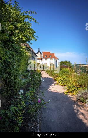 Ein Weg durch einen blühenden Garten mit dem alten Schloss der Dornburger Schlösser im Hintergrund unter klarem blauem Himmel, Dornburg-Camburg, Thüringen, GE Stockfoto