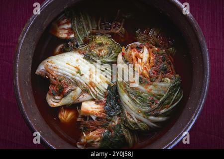 Ein Studio-Überblick über ganze Kimchi, die frisch in einem großen Topf zubereitet wurden. Eine Standardbeilage in Korea Stockfoto