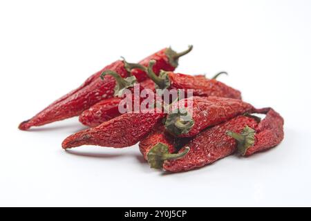 Ein Stapel von teilweise getrockneten scharfen roten Paprika auf einem sauberen weißen Hintergrund Stockfoto