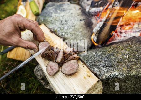 Viddal, More og Romsdal, Norwegen, Kochen, Feuer, Messer, Fleisch, Europa Stockfoto