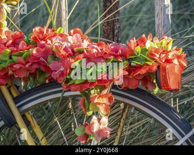 Fahrrad dekoriert mit roten und grünen Blumen im Frühling, egmond aan Zee, niederlande Stockfoto