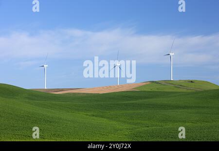 Windenergieanlagen mit sauberer Energie in der Region palouse im Osten von Washington Stockfoto