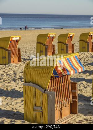 Mehrere Liegen in Reihen am Strand, ein paar Leute am Horizont, der Himmel ist klar und blau, egmond aan Zee, niederlande Stockfoto