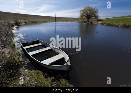 Ein altes Ruderboot, das teilweise mit Wasser gefüllt ist, in einem Teich im Osten Washingtons Stockfoto