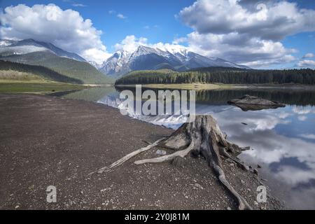 Einem Baumstumpf sitzt im Vordergrund Mission Behälter und High Peak schneebedeckte Berge in der Nähe von St. Ignatius, Montana Stockfoto