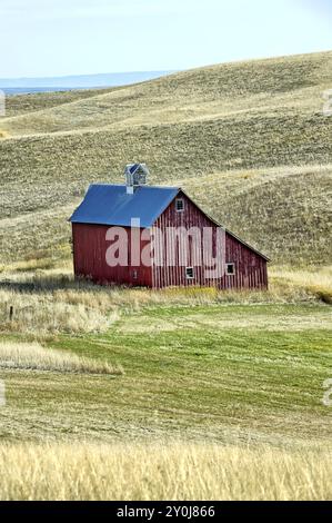 Eine alte rote Scheune steht auf einem Feld in der Nähe von Moskau, Idaho in der Region palouse Stockfoto