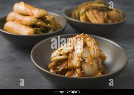 Eine Nahaufnahme verschiedener hausgemachter koreanischer Kimchi in Schalen Stockfoto