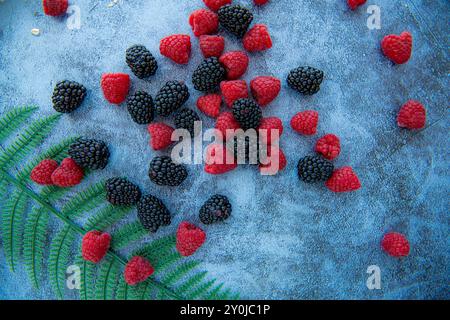 Brombeeren und Himbeeren auf blauem Stein Hintergrund mit Kornflocken herum, isoliert Stockfoto