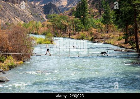 Alleinstehende Seniorin mit ihrem schwarzen Labor, die über eine Metallbrücke über dem Tieton River im Tieton River Canyon im Zentrum von Washington wandert. Stockfoto