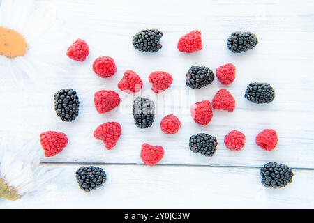 Himbeeren und Brombeeren mit Gänseblümchen auf weißem Holzhintergrund, Kopierraum für Text Stockfoto