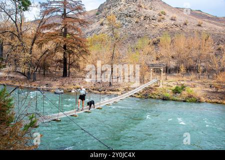 Alleinstehende Seniorin mit ihrem schwarzen Labor, die über eine Metallbrücke über dem Tieton River im Tieton River Canyon im Zentrum von Washington wandert. Stockfoto